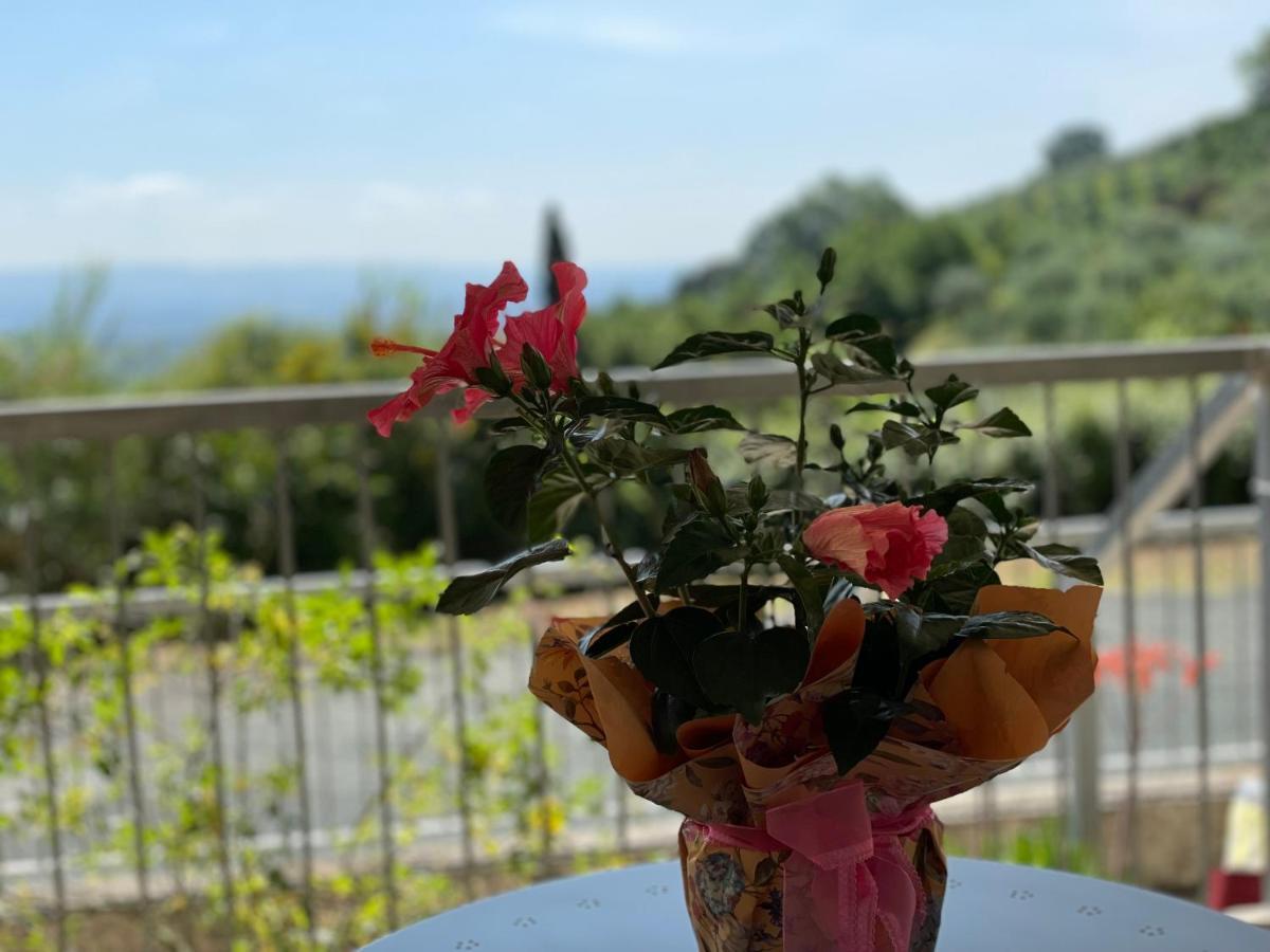 דירות גאמבאסי A Casa Di Silvia מראה חיצוני תמונה