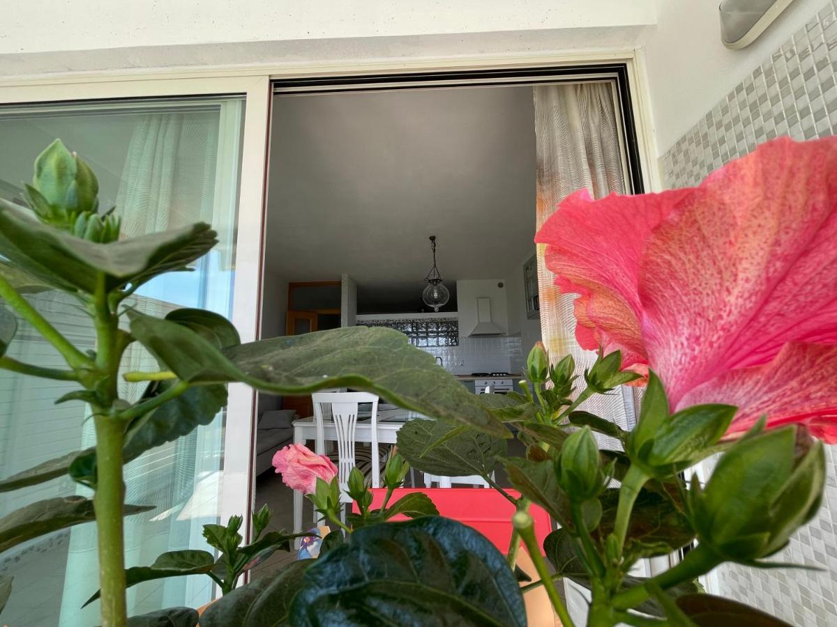 דירות גאמבאסי A Casa Di Silvia מראה חיצוני תמונה