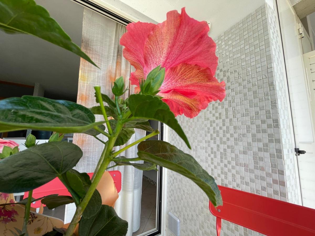 דירות גאמבאסי A Casa Di Silvia מראה חיצוני תמונה